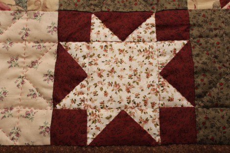 Estrella d'Ohio IMG_7059