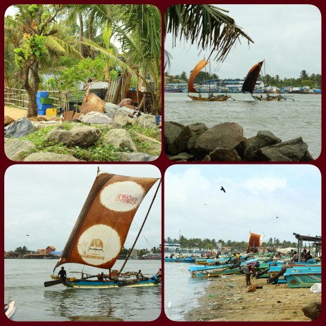 PhotoGrid_1469446973895