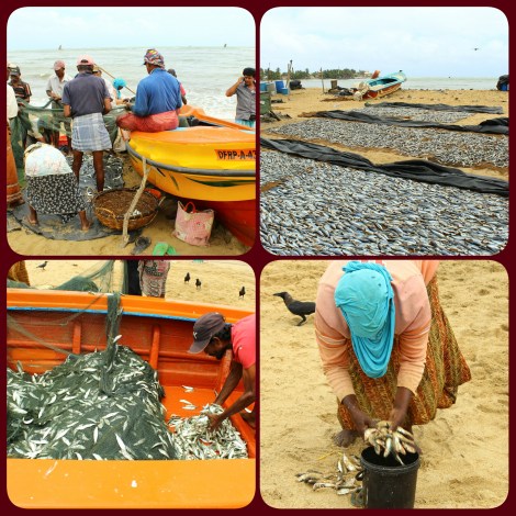 PhotoGrid_1469447114319