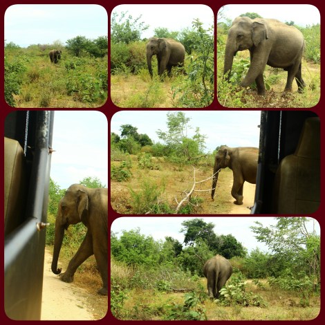 PhotoGrid_1469843995918