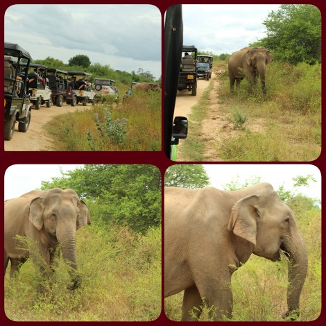 PhotoGrid_1469844063578