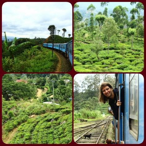 PhotoGrid_1470019303928