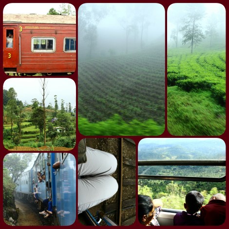 PhotoGrid_1470019434556