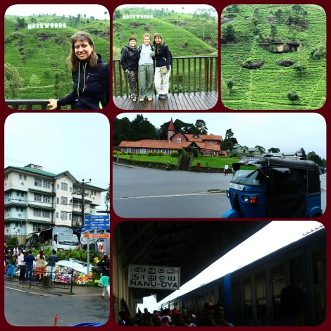 PhotoGrid_1470019888197