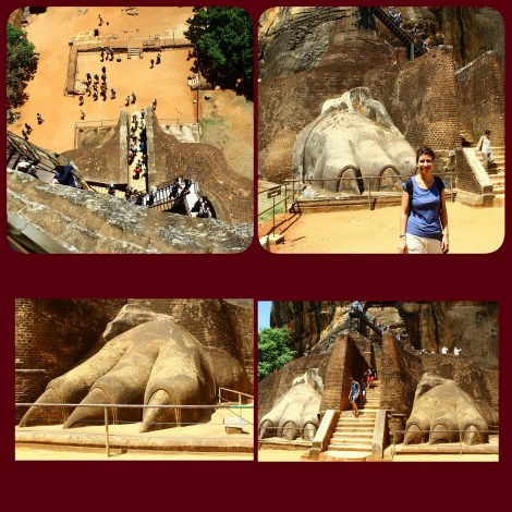 PhotoGrid_1470244146272