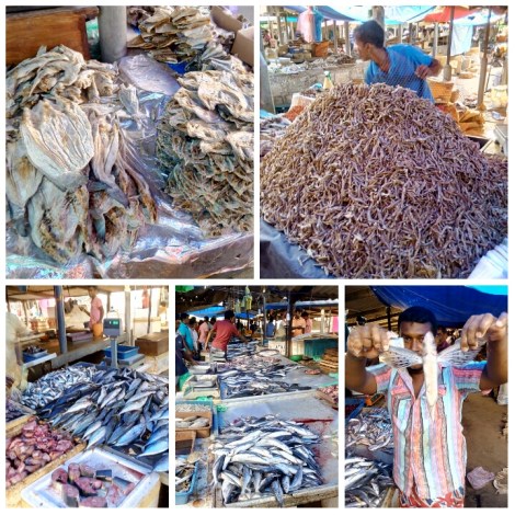 PhotoGrid_1470742858525