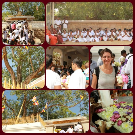 PhotoGrid_1470744887072