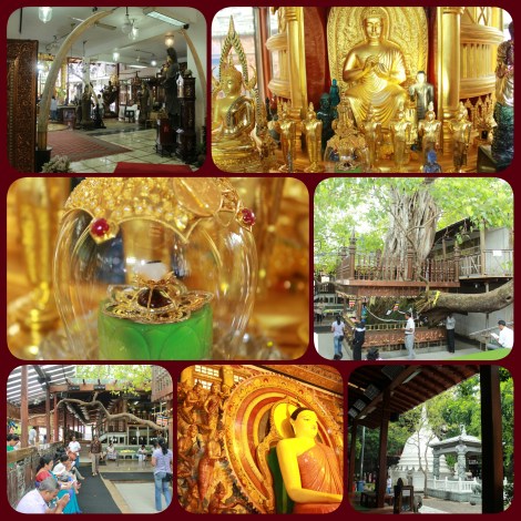 PhotoGrid_1471001231426