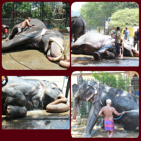 PhotoGrid_1471065233578