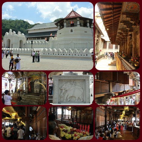 PhotoGrid_1471065374255