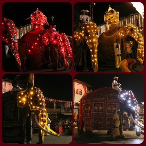 PhotoGrid_1471065527408